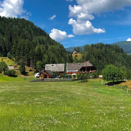 Haus Edlinger Inclusive Murau Sommer Gaeste Card 穆劳附近圣格奥尔根 外观 照片