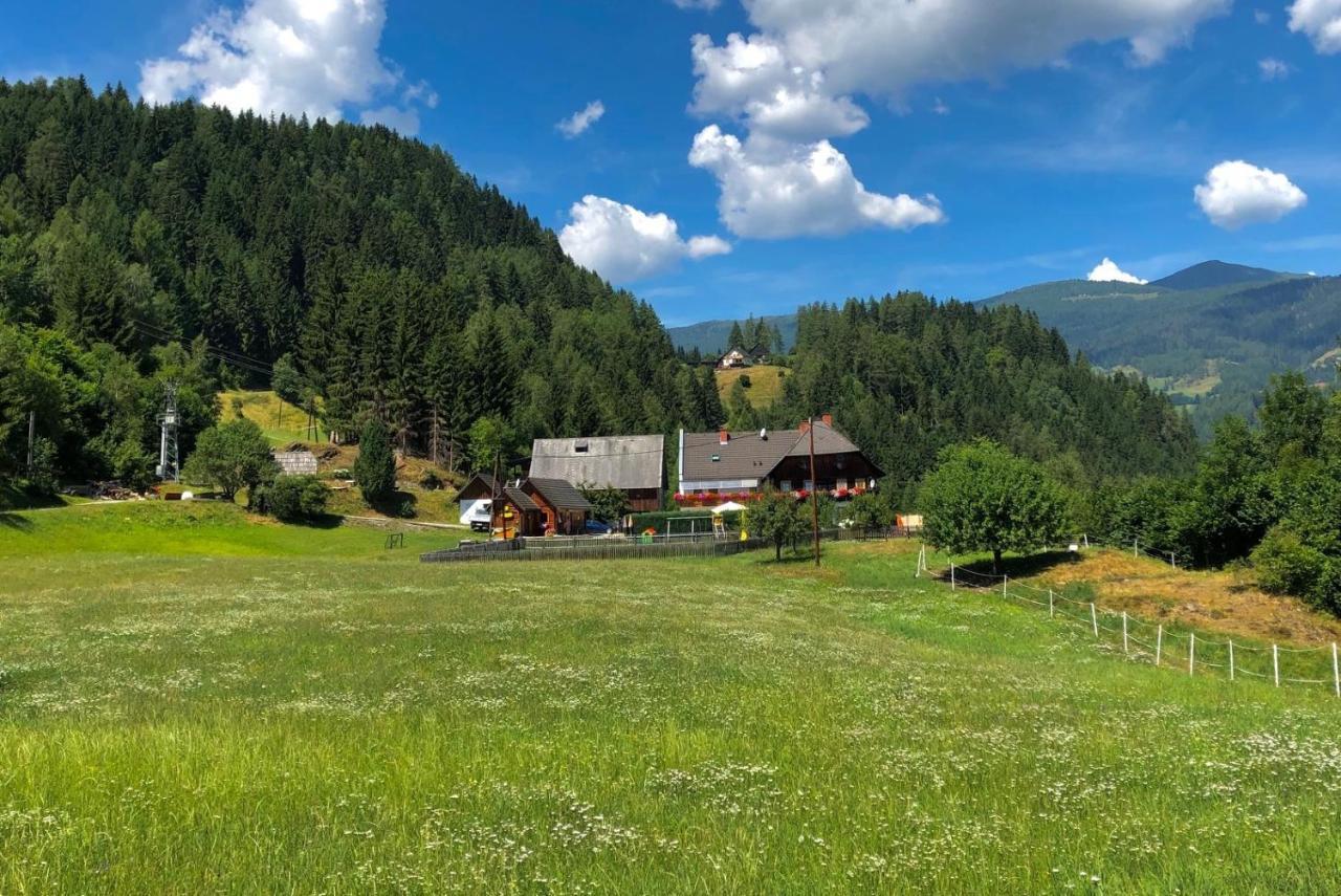 Haus Edlinger Inclusive Murau Sommer Gaeste Card 穆劳附近圣格奥尔根 外观 照片