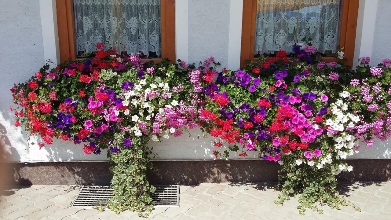 Haus Edlinger Inclusive Murau Sommer Gaeste Card 穆劳附近圣格奥尔根 外观 照片