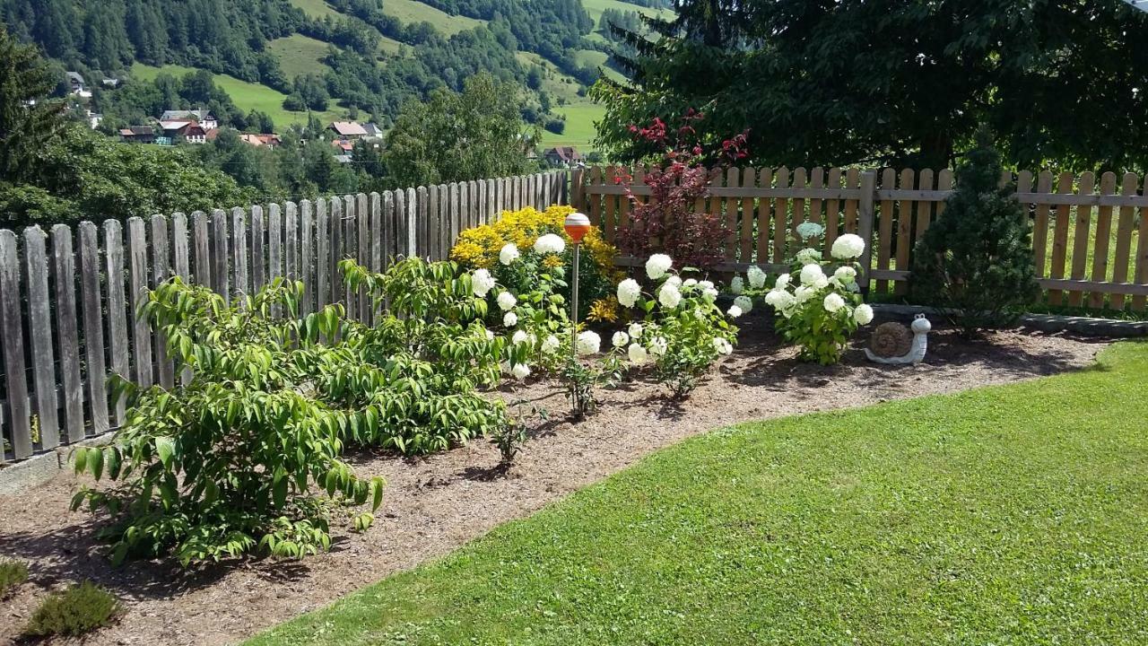 Haus Edlinger Inclusive Murau Sommer Gaeste Card 穆劳附近圣格奥尔根 外观 照片